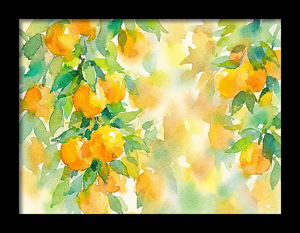 Citrus Orchard Serenity 1844