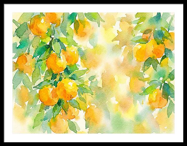Citrus Orchard Serenity 1844