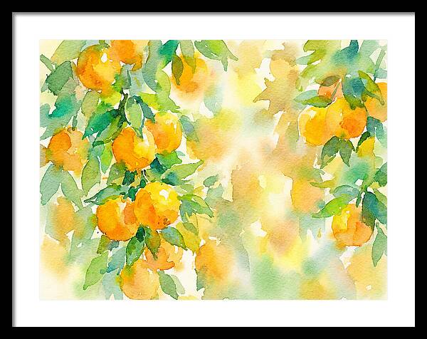 Citrus Orchard Serenity 1844