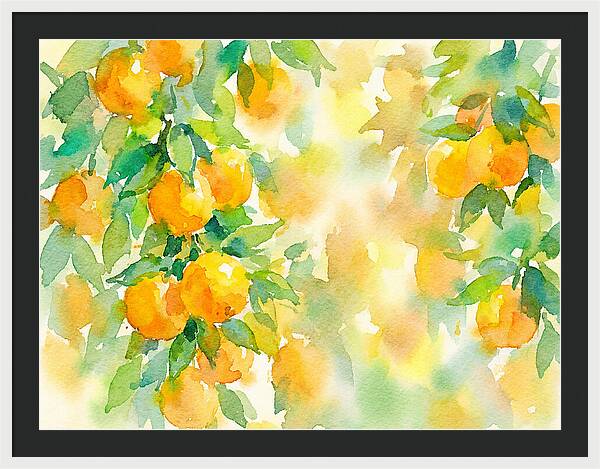 Citrus Orchard Serenity 1844