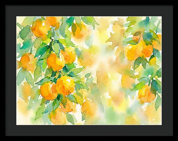 Citrus Orchard Serenity 1844