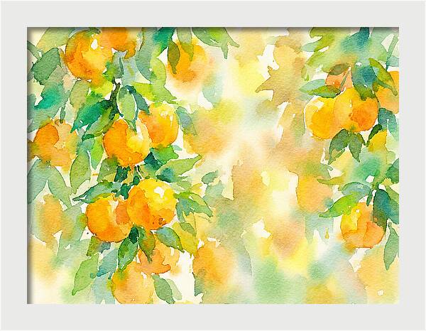 Citrus Orchard Serenity 1844