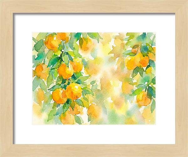 Citrus Orchard Serenity 1844