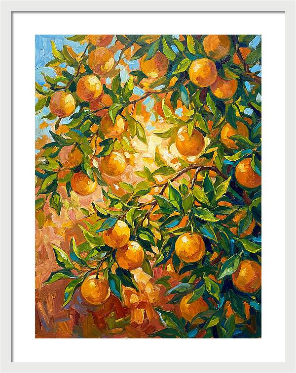 Citrus Orchard Serenity