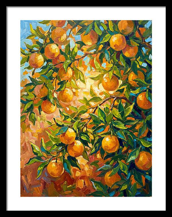 Citrus Orchard Serenity