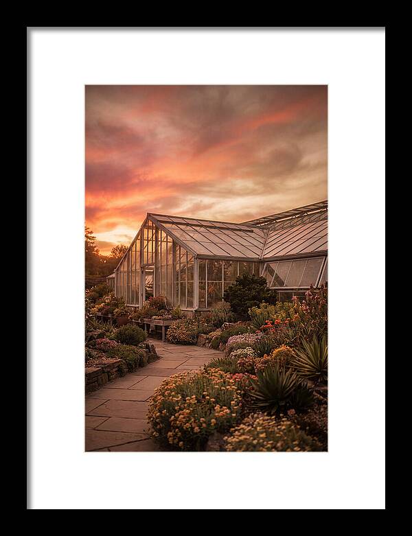 City Botanical Garden Serenity