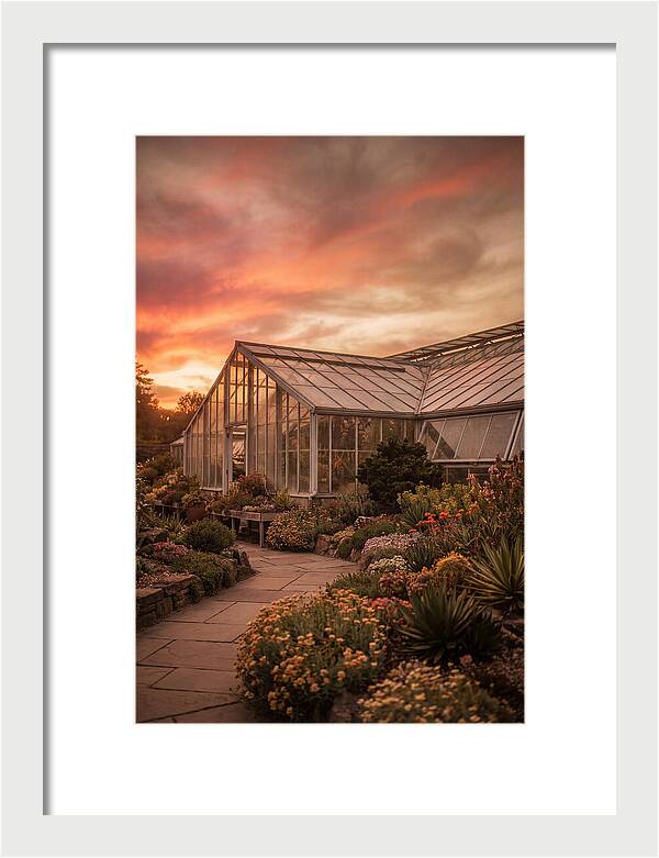 City Botanical Garden Serenity