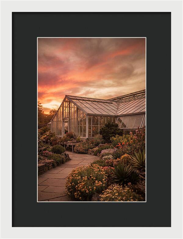 City Botanical Garden Serenity