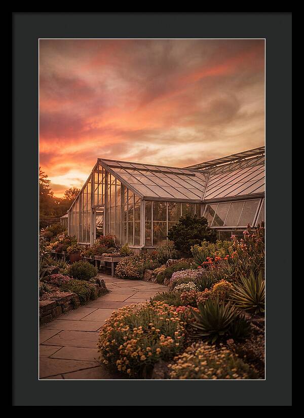 City Botanical Garden Serenity