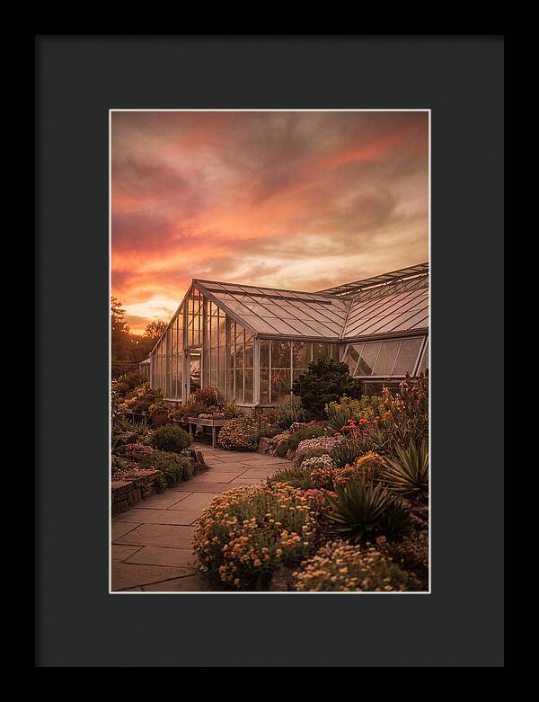 City Botanical Garden Serenity