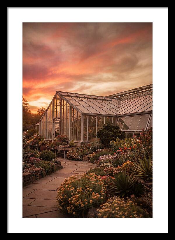 City Botanical Garden Serenity