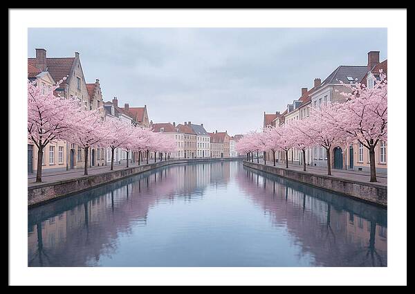 City Canal Under Cherry Blossoms