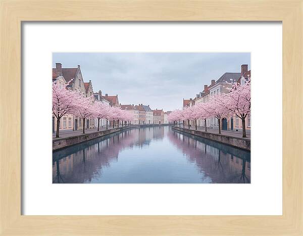 City Canal Under Cherry Blossoms