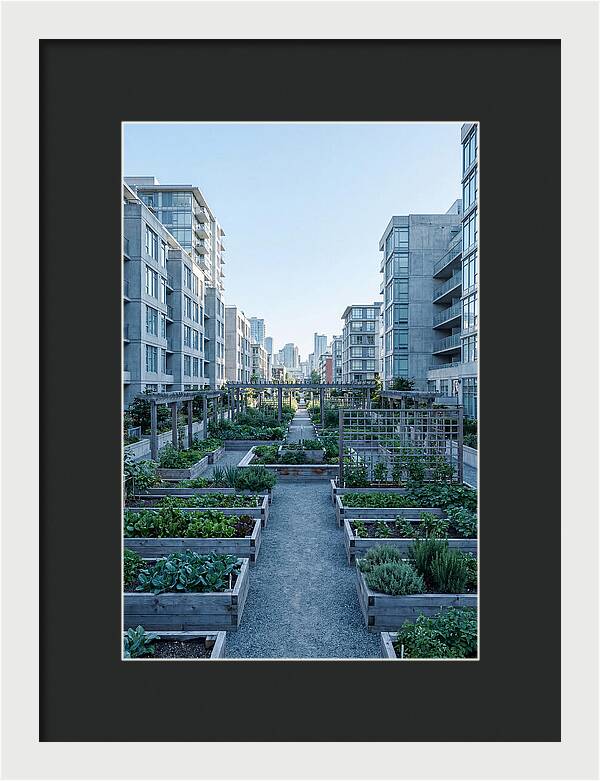 City Community Garden Serenity