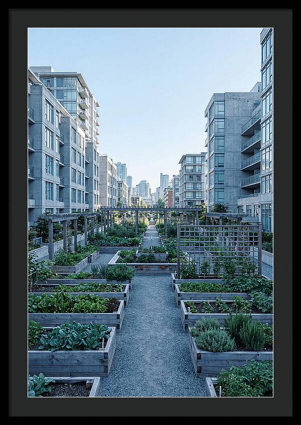 City Community Garden Serenity