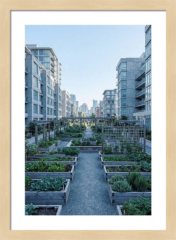 City Community Garden Serenity