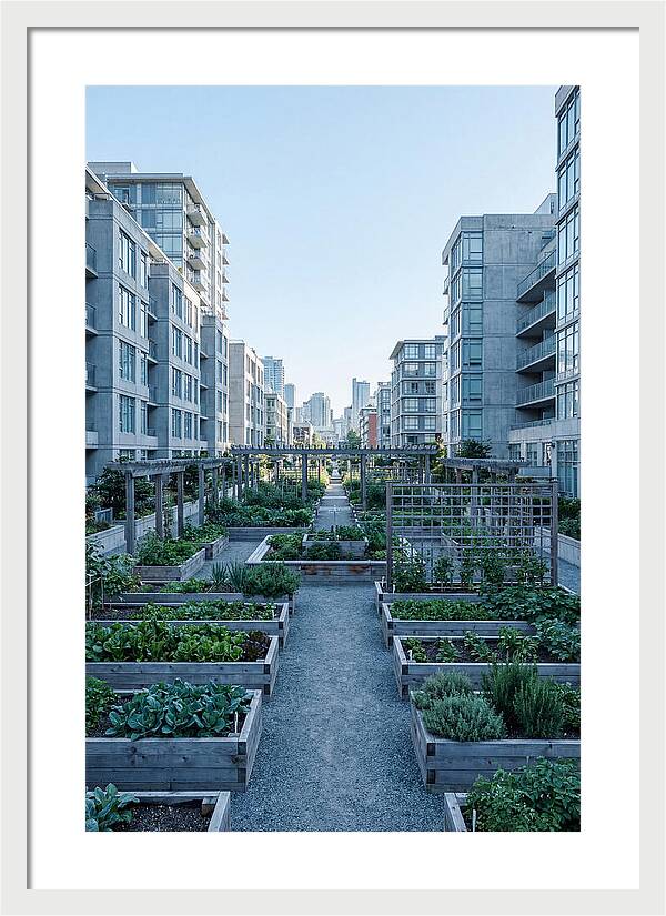 City Community Garden Serenity
