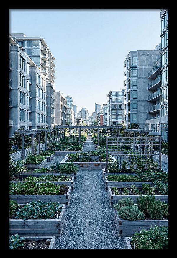 City Community Garden Serenity