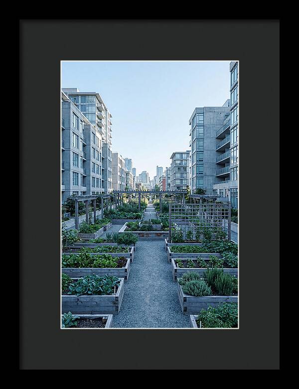 City Community Garden Serenity