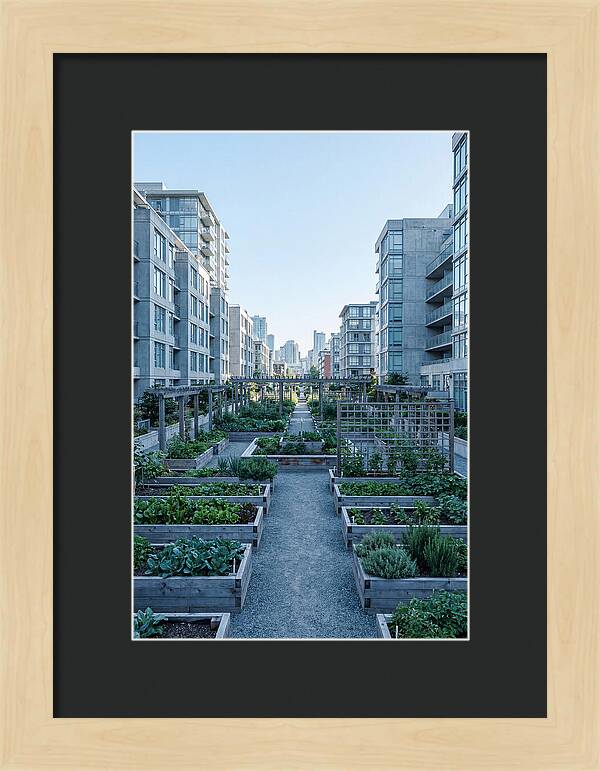 City Community Garden Serenity