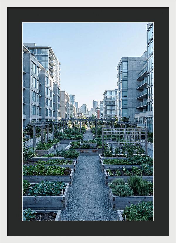 City Community Garden Serenity