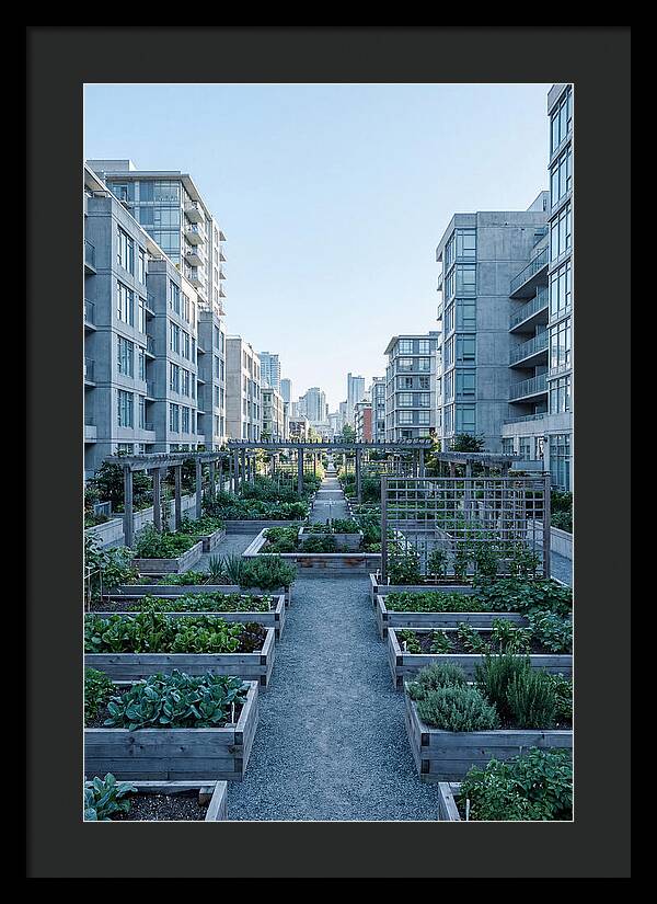 City Community Garden Serenity