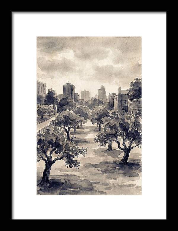 City Community Orchard