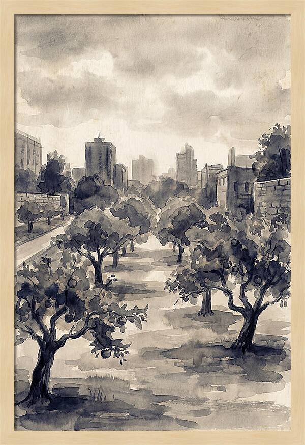City Community Orchard
