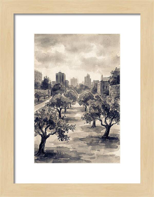 City Community Orchard
