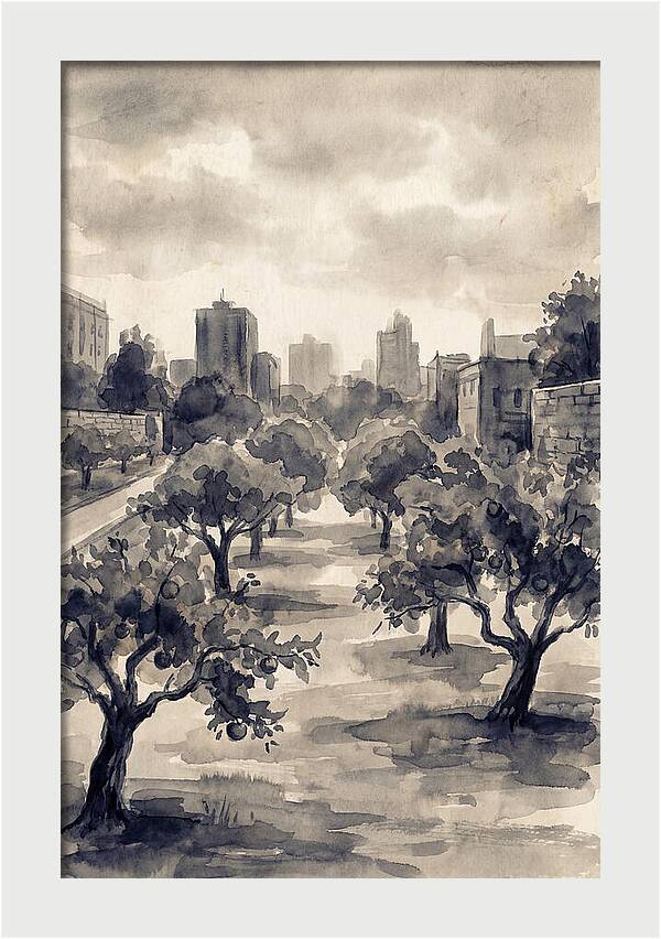 City Community Orchard