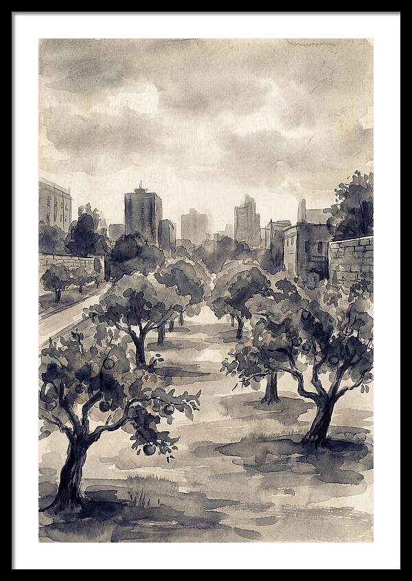 City Community Orchard