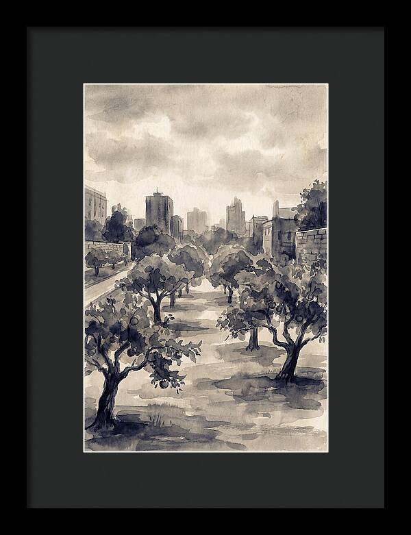 City Community Orchard