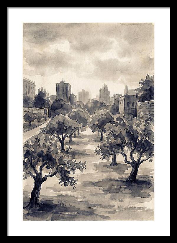 City Community Orchard