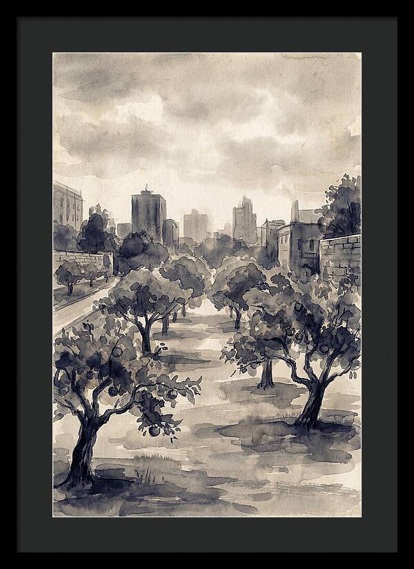 City Community Orchard