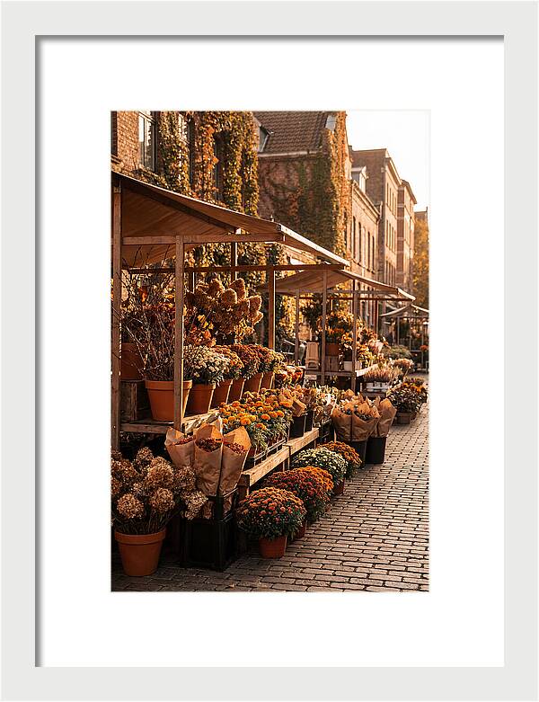City Flower District In Autumn