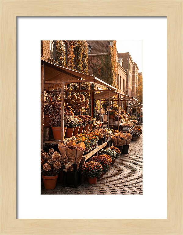 City Flower District In Autumn