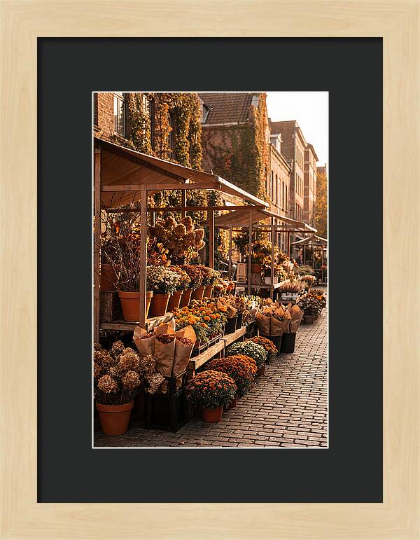 City Flower District In Autumn