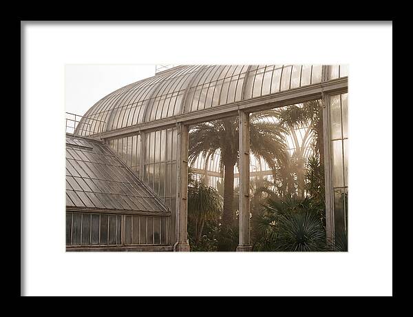 City Greenhouse Serenity