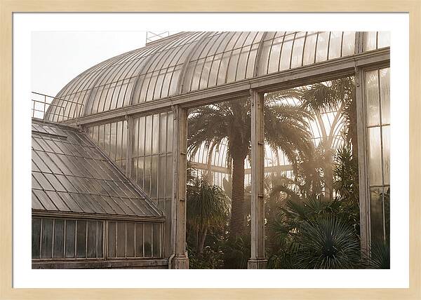 City Greenhouse Serenity