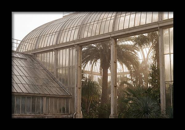 City Greenhouse Serenity