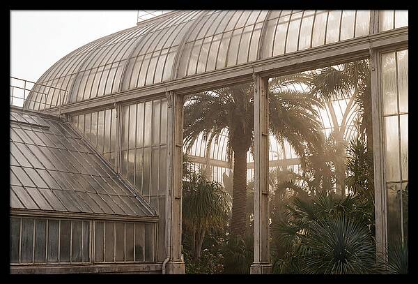City Greenhouse Serenity