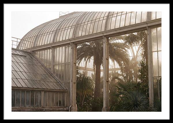 City Greenhouse Serenity