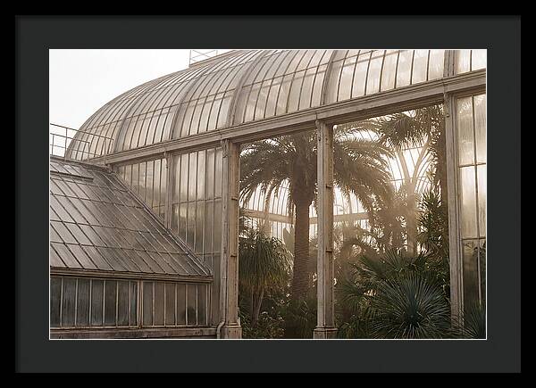 City Greenhouse Serenity