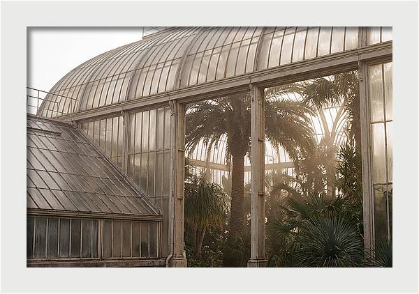 City Greenhouse Serenity