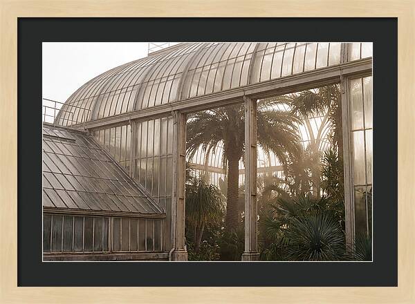 City Greenhouse Serenity