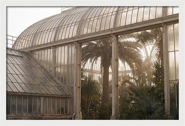 City Greenhouse Serenity