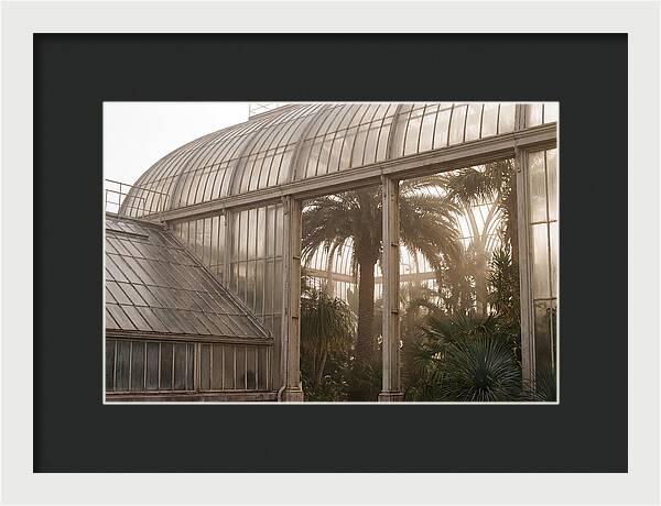 City Greenhouse Serenity