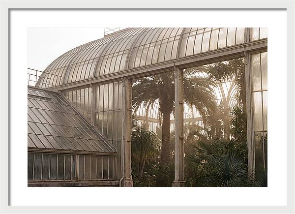 City Greenhouse Serenity