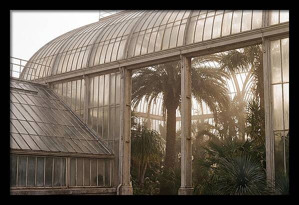 City Greenhouse Serenity