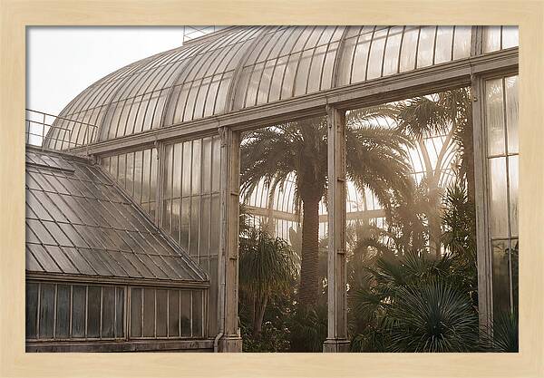City Greenhouse Serenity